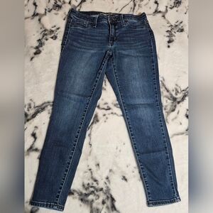 Universal Thread Indigo Skinny Jeans